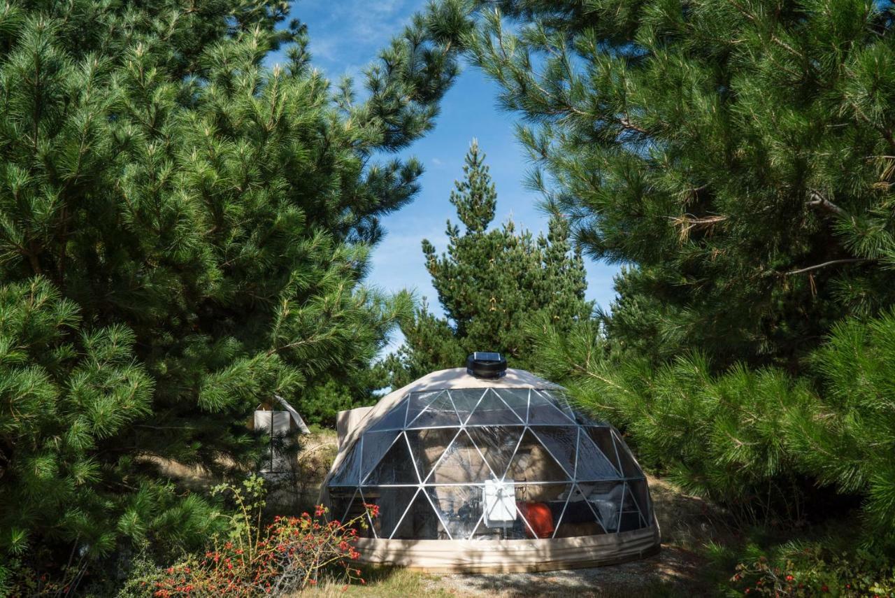 Mt Gold Glamping 호텔 와나카 외부 사진